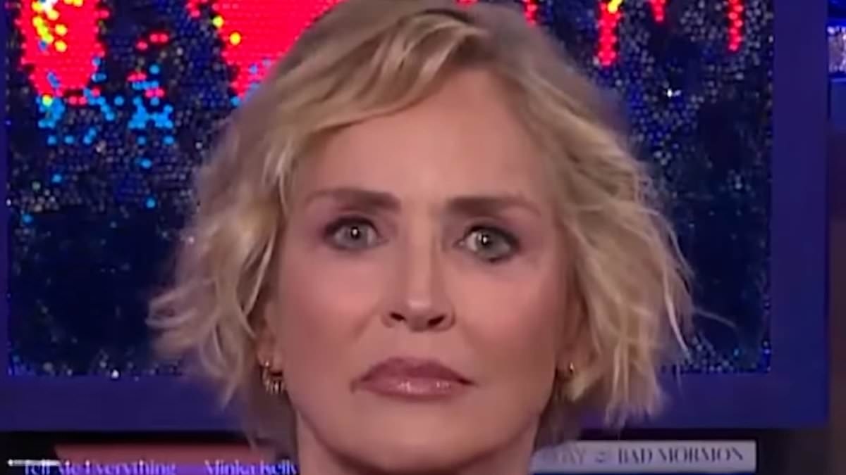 Sharon Stone, 67, reveals the famous younger rapper she once went on a date with