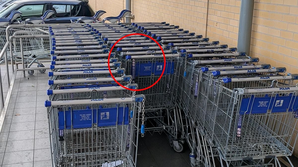 Why shopper is furious after spotting 'huge problem' with Aldi trolleys - but not everyone agrees