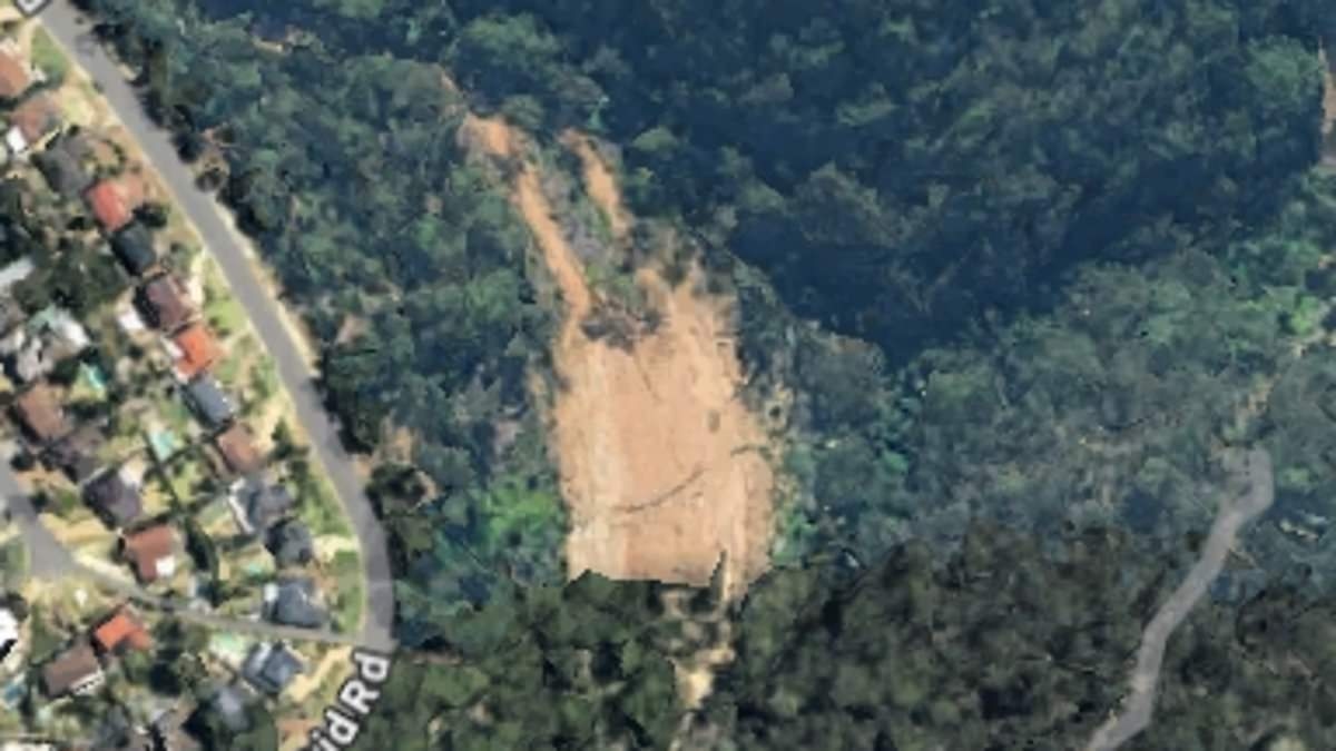 A developer wanted to build a $3million mansion in prime bushland... what they did next sparked a legal battle that has backfired spectacularly