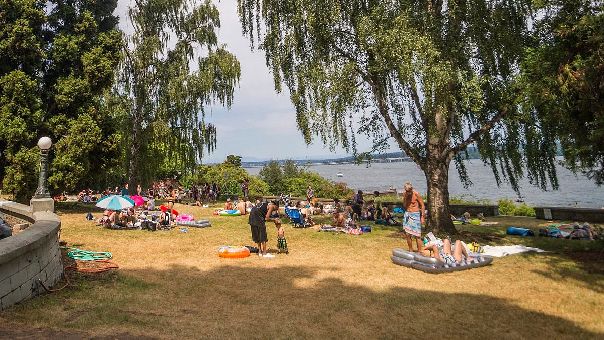 Ugly new 'solution' unveiled at Seattle beach judge ordered to close because nudists kept having sex in public