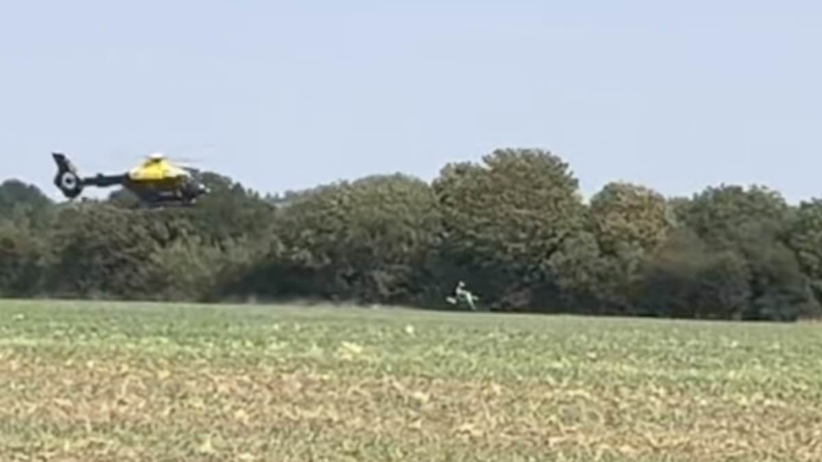 Moment police helicopter flying just a few feet off the ground chased 'stolen' scrambler bike across a field after rider was 'caught speeding'