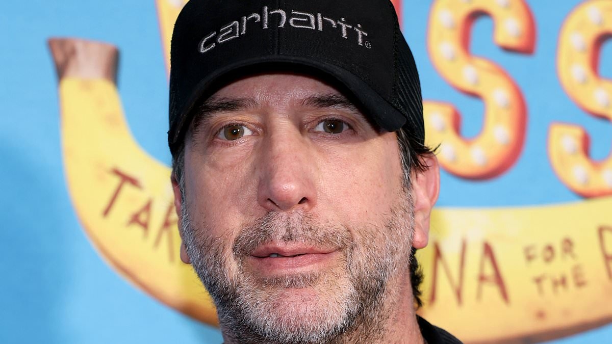David Schwimmer looks downcast at theatre event in NYC after his Friends co-star Matthew Perry's 'Ketamine Queen' drug dealer pleaded guilty to supplying star's fatal dose
