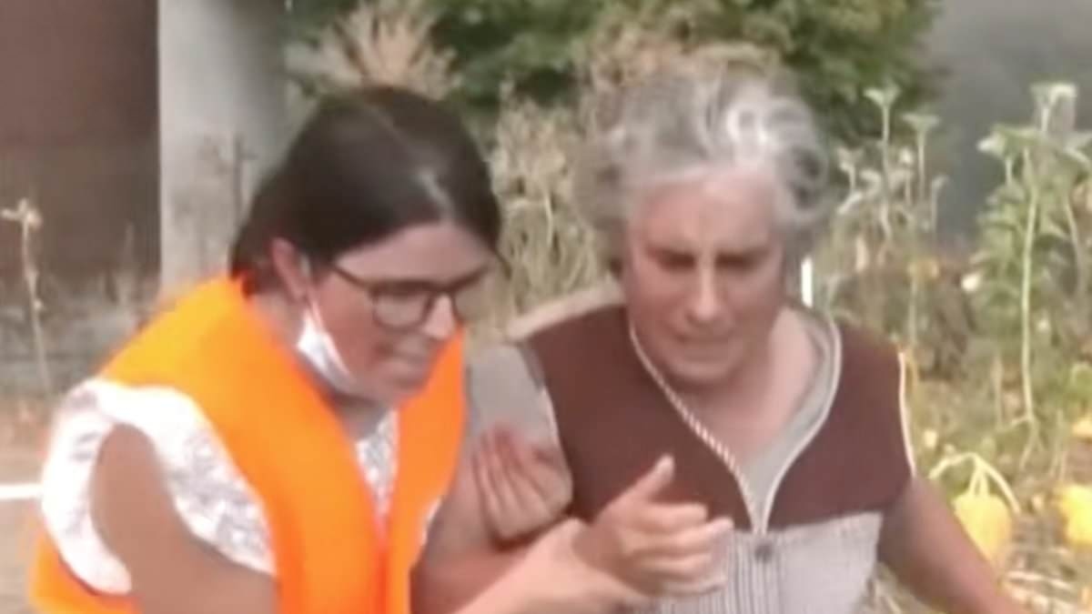 Harrowing moment Portuguese pensioner is dragged away as she watches her house burn in ferocious wildfires - as deadly blazes rage on in Iberian peninsular