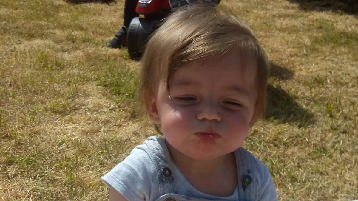 Two-year-old boy callously murdered by his grandparents would still be alive if his father had been allowed to see him, heartbroken family claims