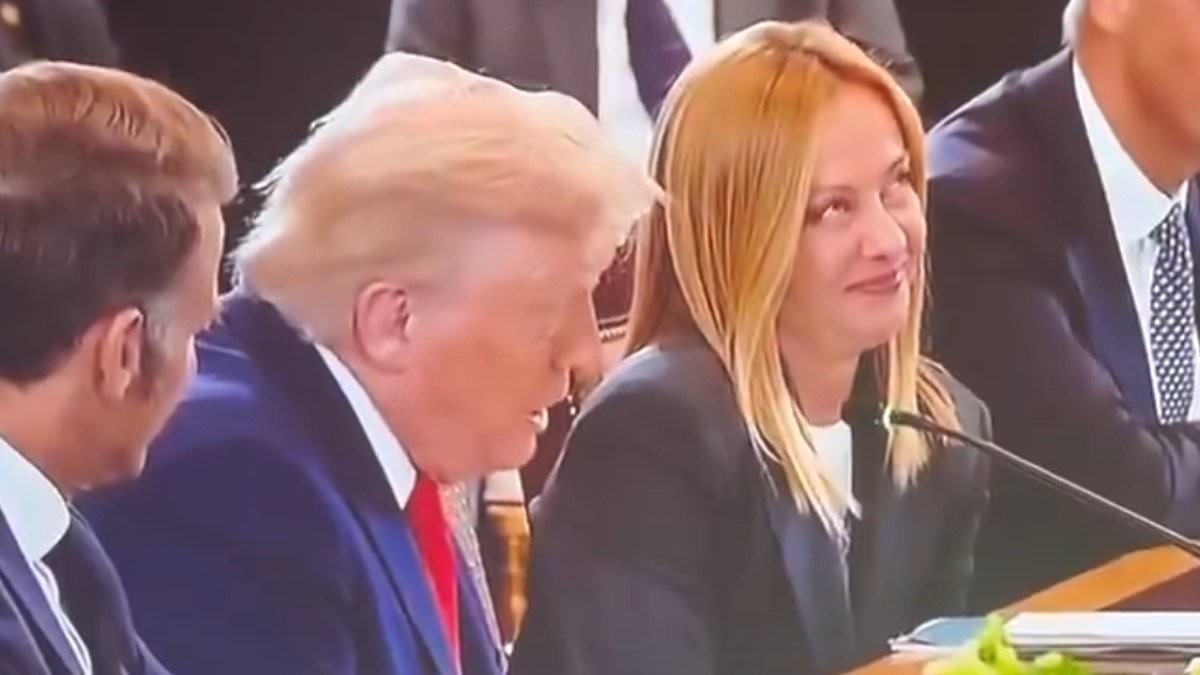 Italy's Giorgia Meloni's side-eye goes viral as she's seated next to Trump during crunch talks