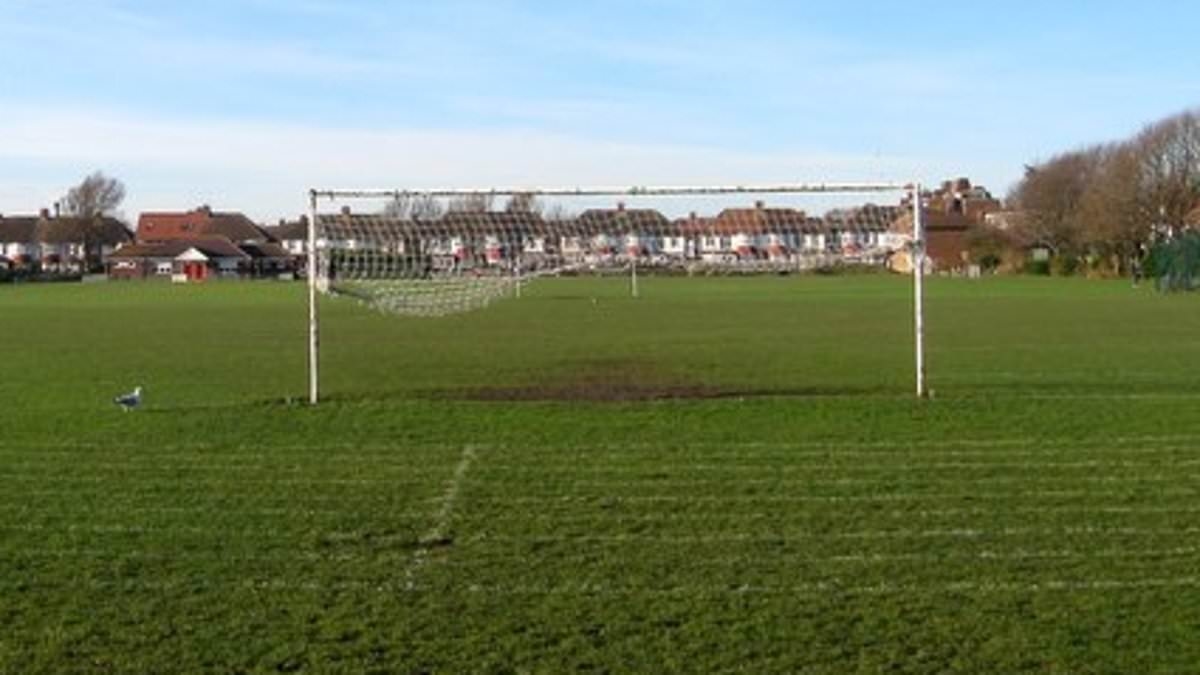 Gang of six schoolgirls aged 12 and 13 are arrested after 'park assault' on a 13-year-old girl