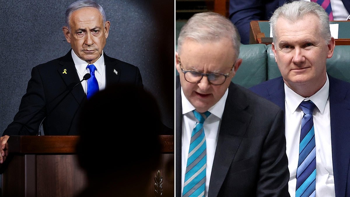 PETER VAN ONSELEN: Tony Burke's childish and VERY rehearsed attack on Israel's Netanyahu will have consequences for Australia