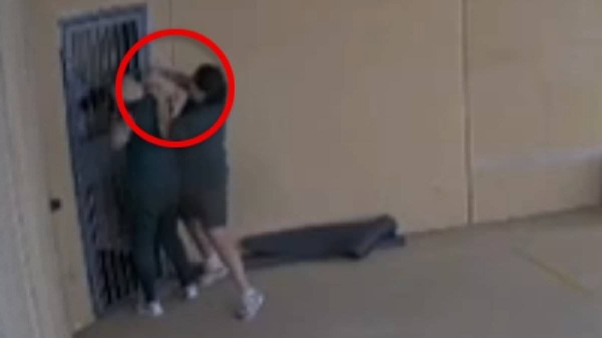 Incredible prison video of frenzied knife attack on notorious gang boss Bassam Hamzy emerges - as he's 'ambushed inside Supermax after a coded order sent via triple J app'