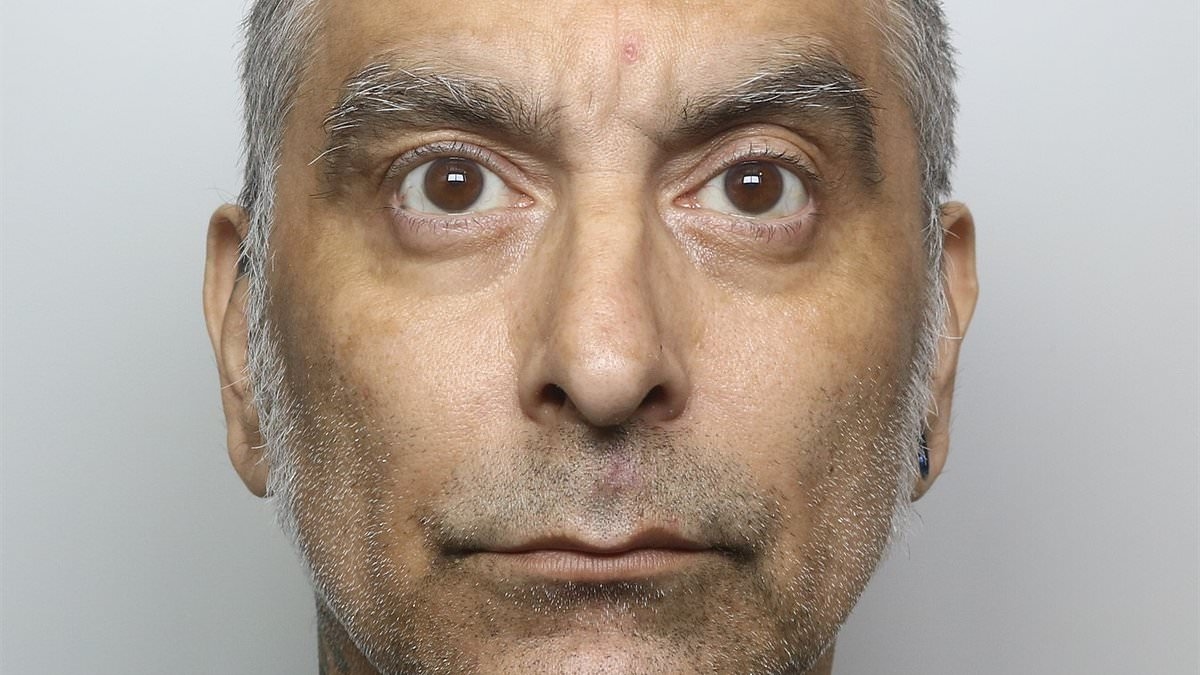 Crossbow maniac who stabbed neighbour before shooting police officer is jailed for nine years
