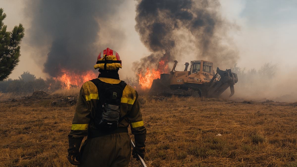Wildfire tragedy as man is run over and killed by his own bulldozer after leaping out to escape flames in Portugal
