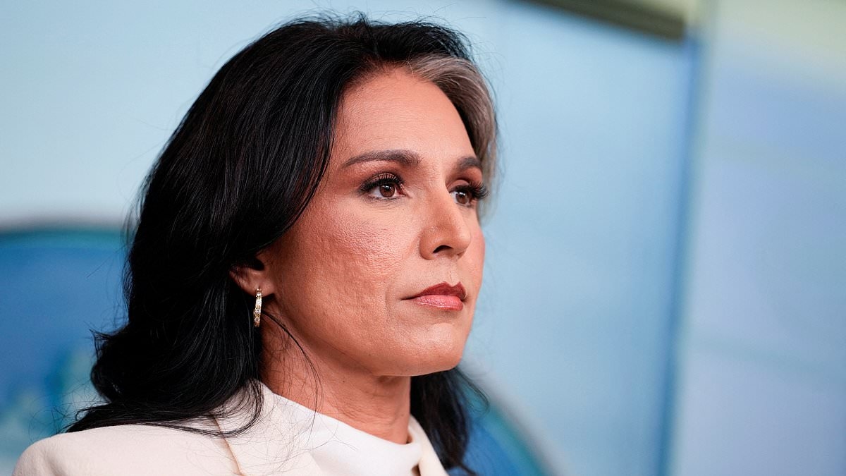 Tulsi Gabbard axes nearly HALF of spy agency staff in earthquake 'Deep State' shake-up