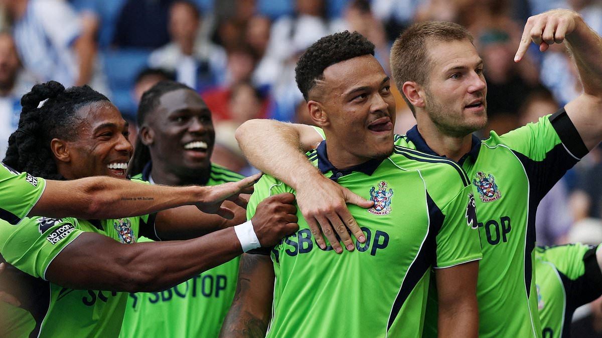 Fulham 'gear up for contract talks with first-team star' after rejecting Champions League side's opening bid for striker