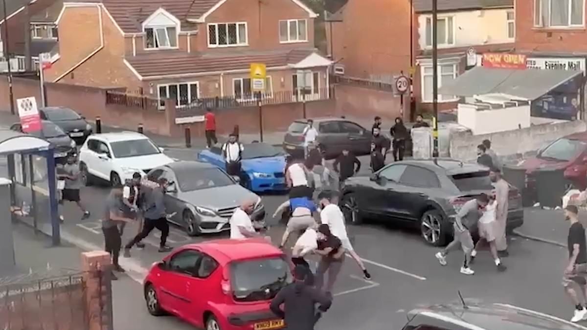 Terrifying moment thug pulls out machete during 20-person brawl on residential street