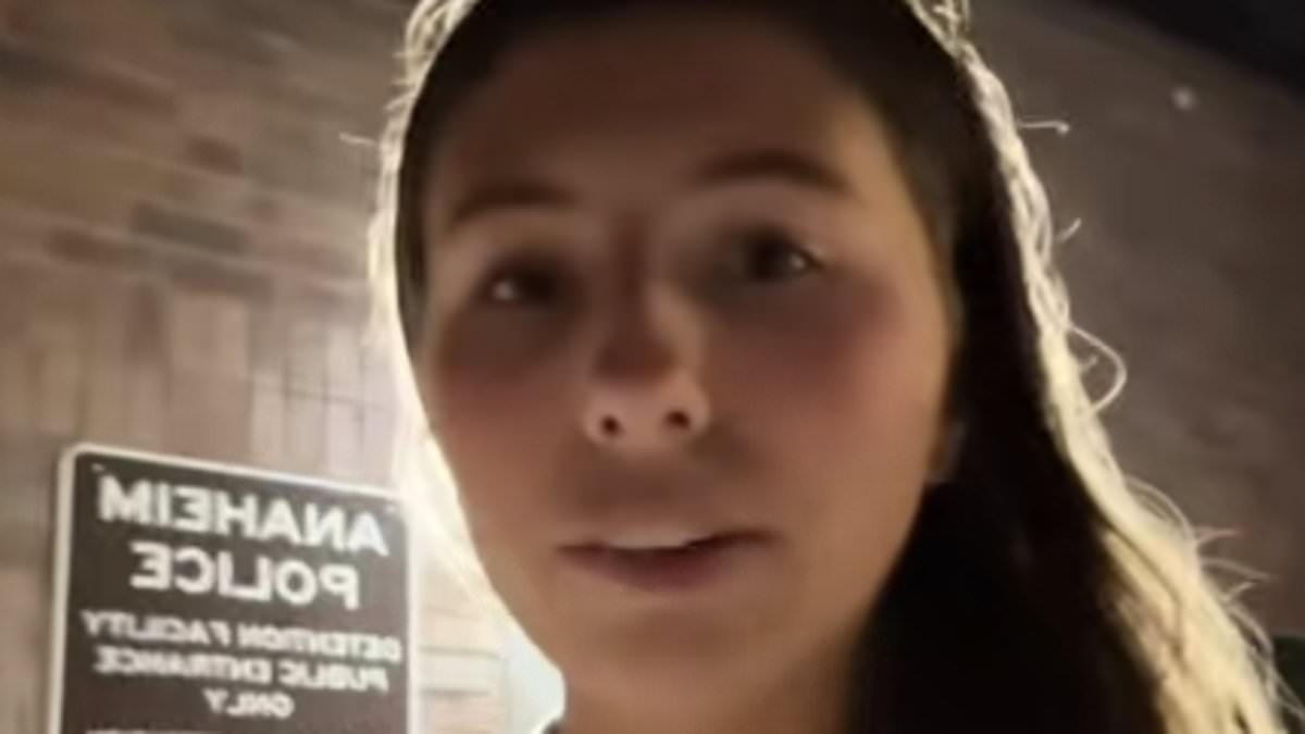 Female TikTok star ends up in jail after filming herself running onto baseball field: 'Intrusive thoughts got the better of me'