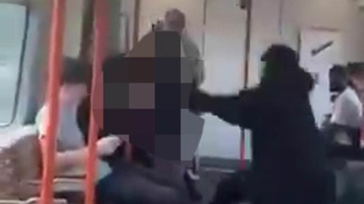 Moment schoolboy is 'beaten up by man on train' as terrified passengers watch on