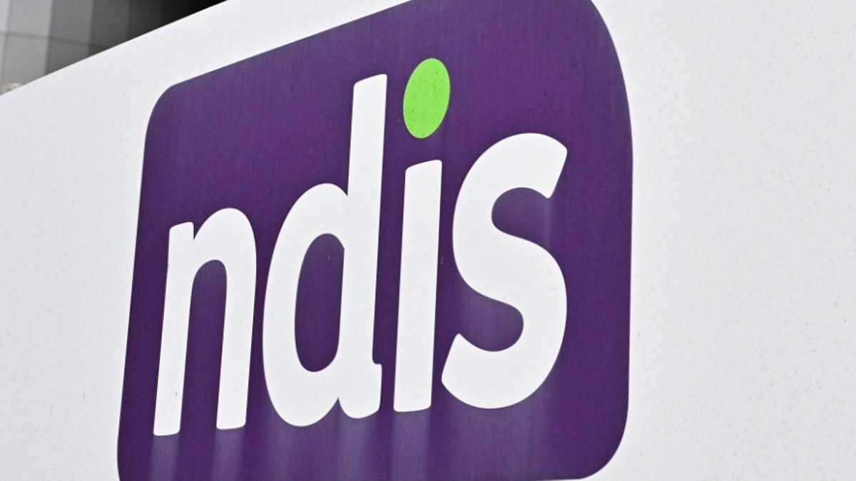 Secrets of the country's biggest rort: How the NDIS is being exploited to fund drugs, gangs and even holidays - as Aussies expose how easy it is to scam the system