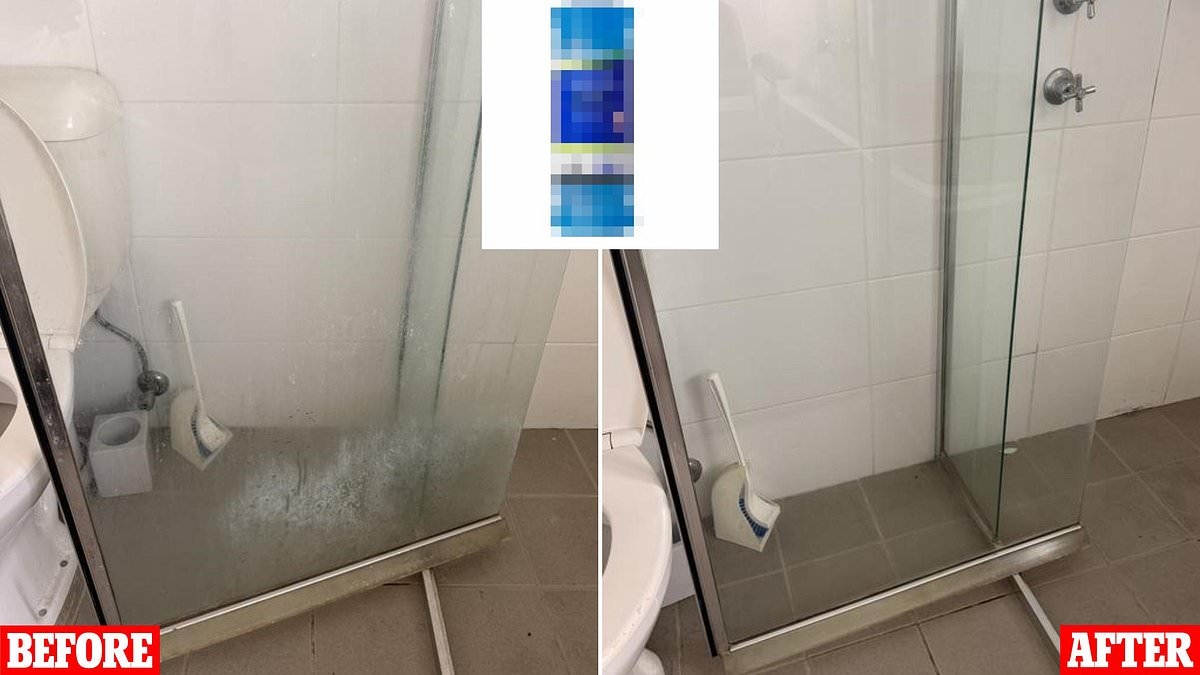 The $14.50 toilet buy that Aussies say is a 'miracle' for shower screens and soap scum - and it keeps selling out