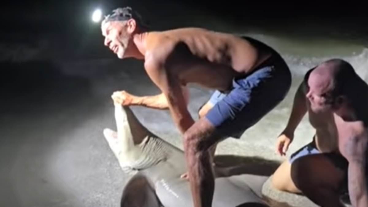Fed-up shark BITES Florida man who pulled predator from ocean and posed with it for photos