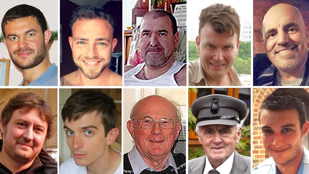 Little boy's heartbreaking words after his dad was killed in Shoreham Airshow disaster - as widow calls for criminal probe into 'remorseless' pilot to be re-opened
