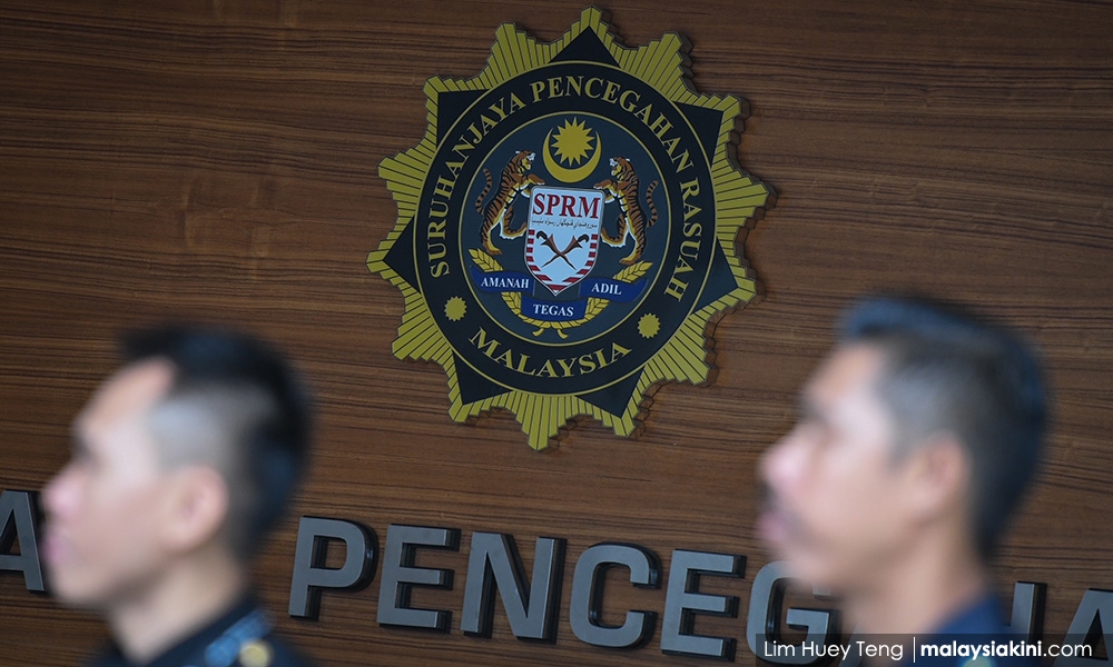 MEX II highway probe: 61 witnesses called