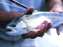 Govt nears completion of fisheries policy