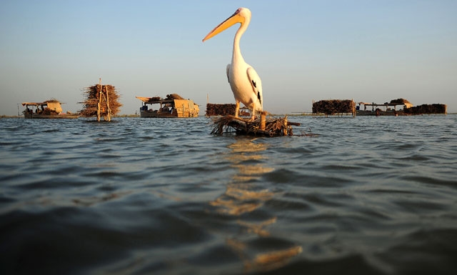 44 houseboats restored at last floating village
