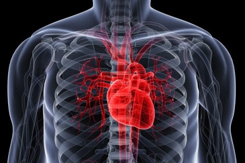 Action taken over use of expired stents in 2021-22: minister