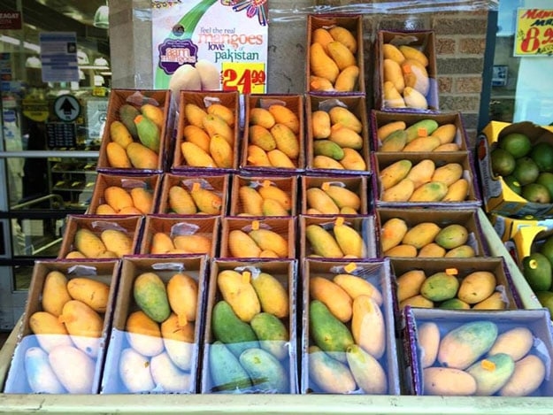 Mango festival opens amid climate impact concerns
