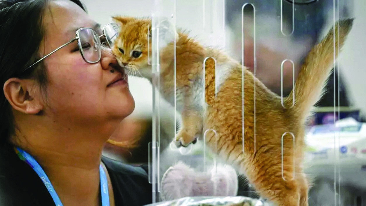 China's pet industry takes off in ailing economy