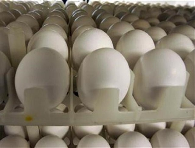 US border sees spike in egg smuggling as prices soar amid bird flu outbreak