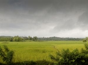 Call for desilting to prevent monsoon losses