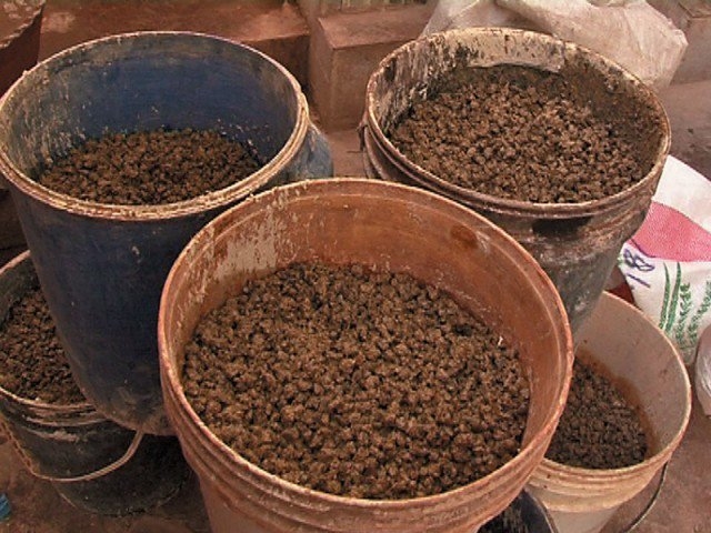 PFF to launch anti-drugs movement after Eid