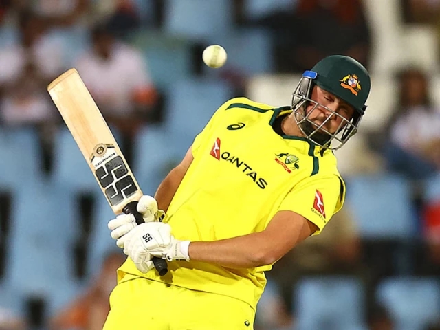 Coaches trust Australia hitters: David