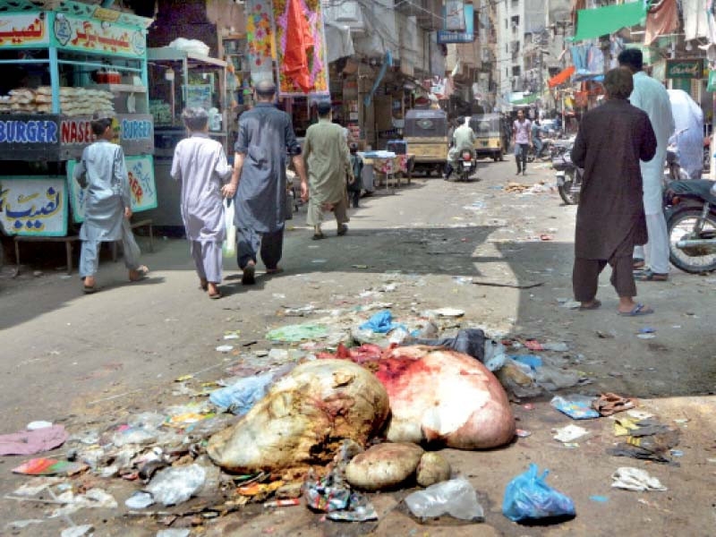 Pindi calks out Eid offal cleanup plan