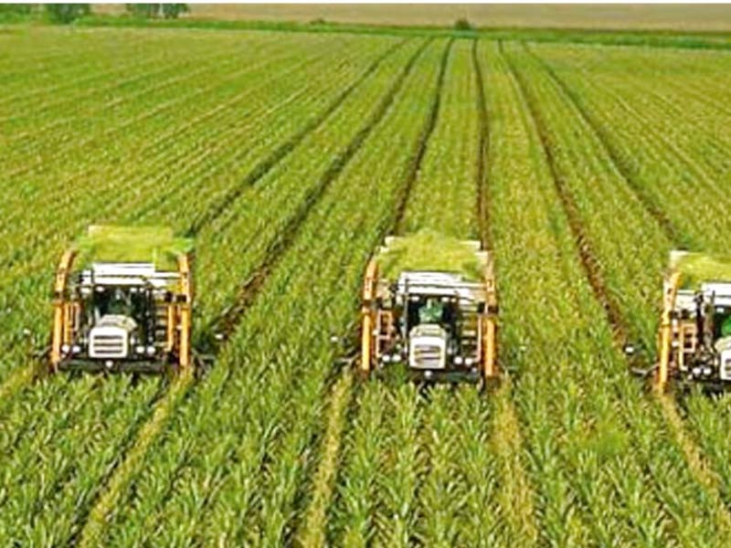 Modern agricultural practices termed key to food security