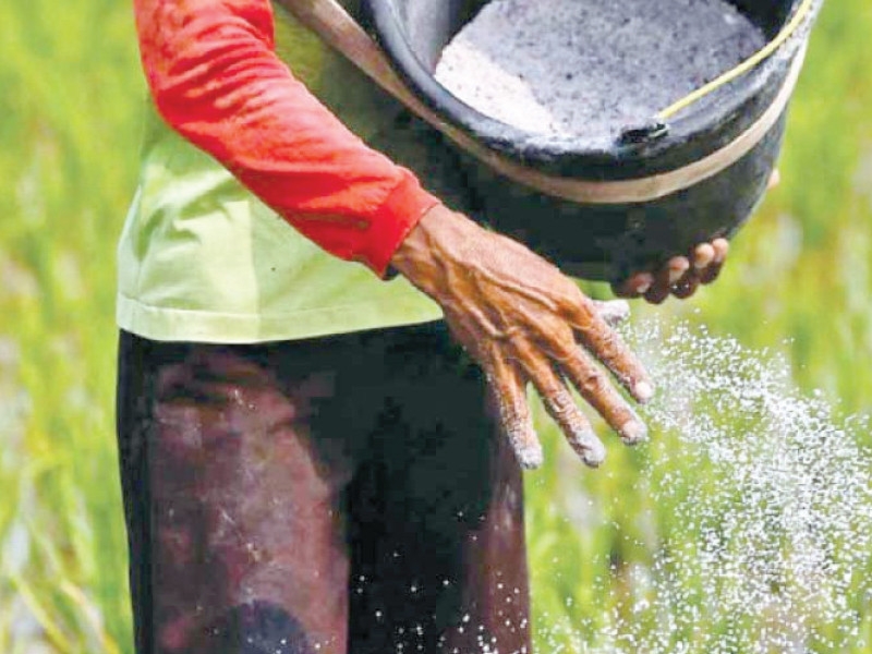Govt to amend rules for DAP clearance