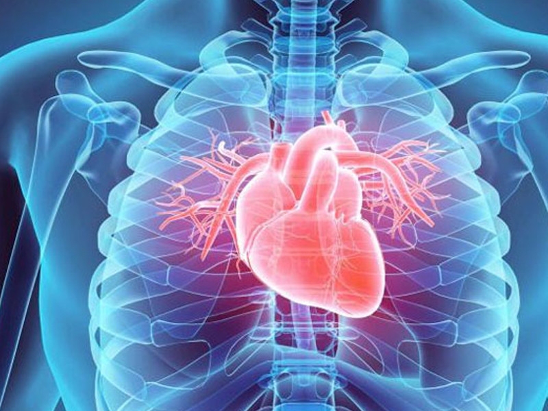 Vascular surgeons shortage threatens limb-saving care