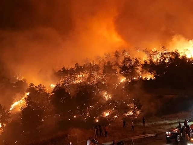 Turkey, Bulgaria battle wildfires