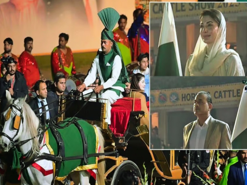 Horse & Cattle Show concludes with colourful ceremony