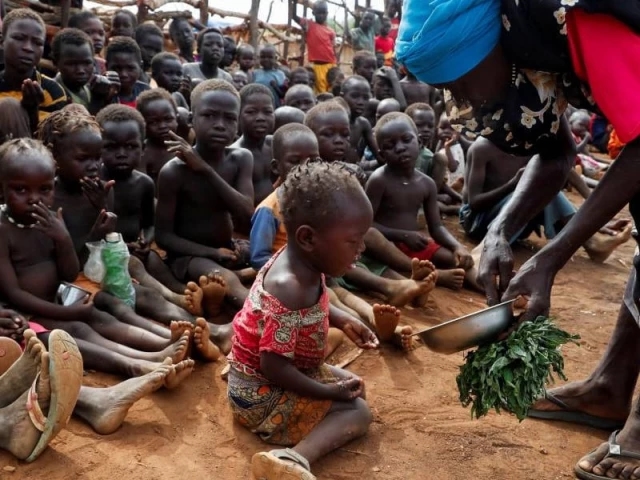 Global hunger down slightly in 2024: UN
