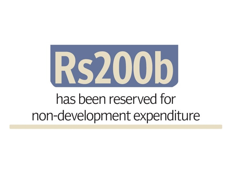 Rs300 billion set aside for law and order maintenance