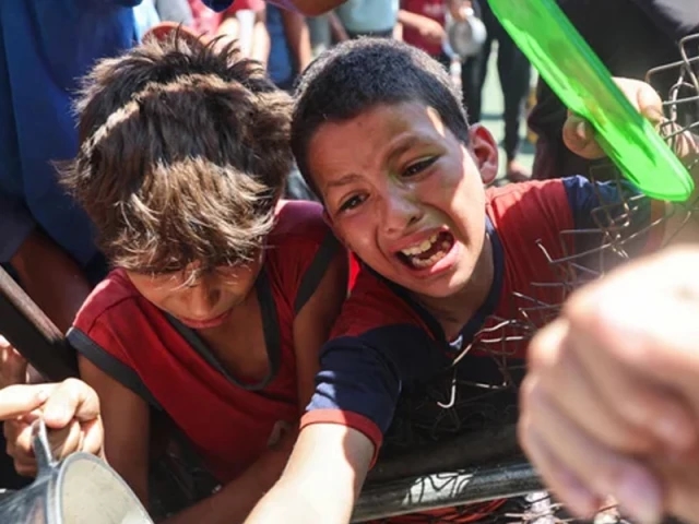 25 Israel backers slam Gaza 'inhumane killing'