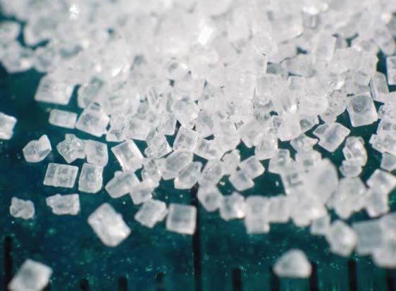 CCP warns of policy action in face of sugar crisis