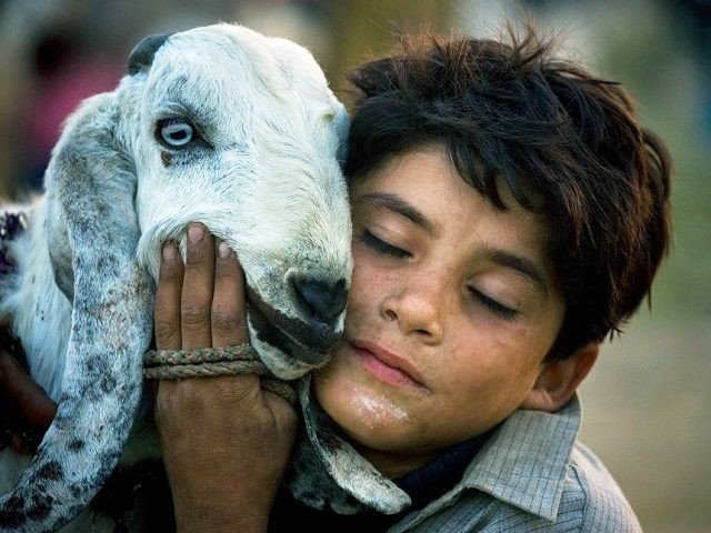 Animals tug at kids' hearts
