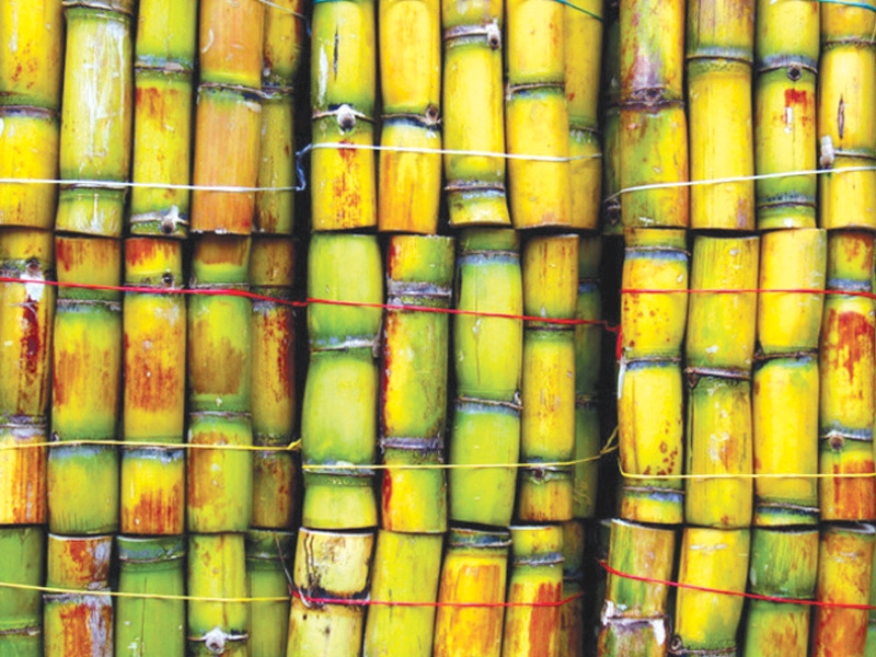 Punjab held back Rs2b sugarcane fund