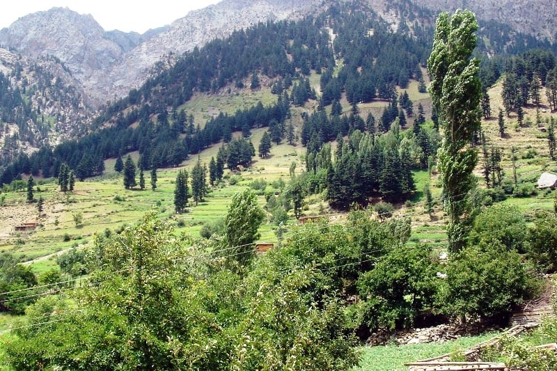 HRCP slams discriminatory ban on Ismaili Butchers in Chitral, warns of threat to pluralism