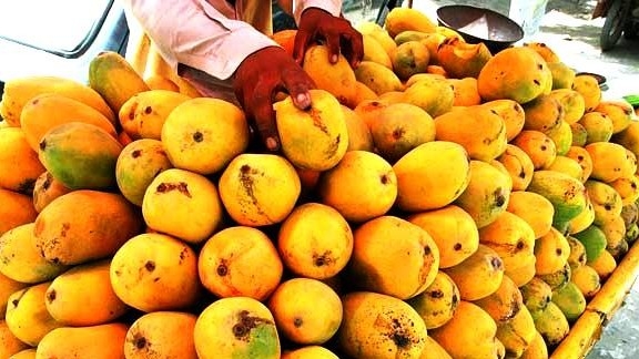 Mango exports to fetch $100m