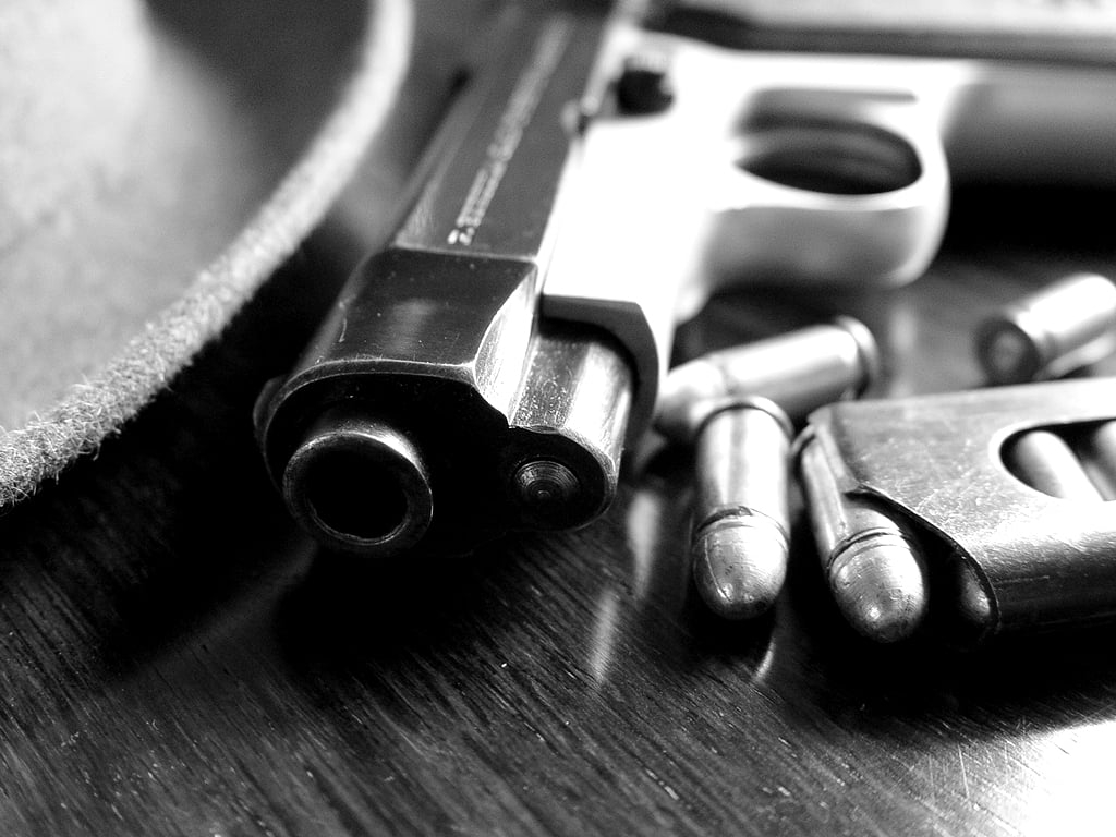 Wildlife officer shot in anti-poaching raid