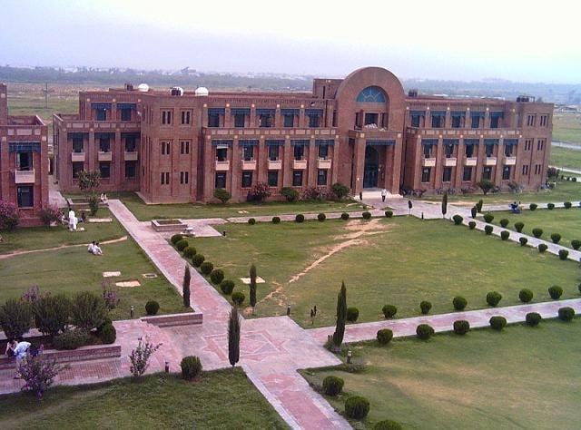 Arabic language courses launched