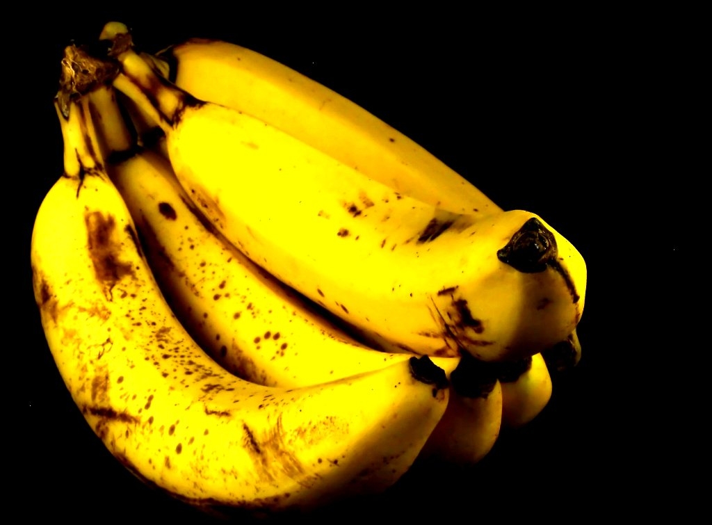 Bananas may vanish from export shelves by 2080, report finds